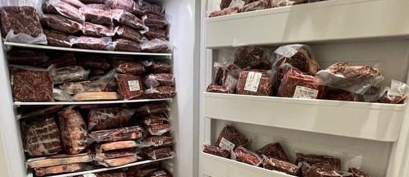 Freezer Storage: Maximizing Quality and Efficiency