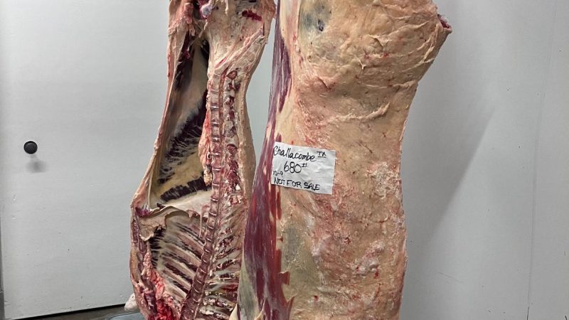 What Farm to Table Beef Actually Means (And What It Looks Like)